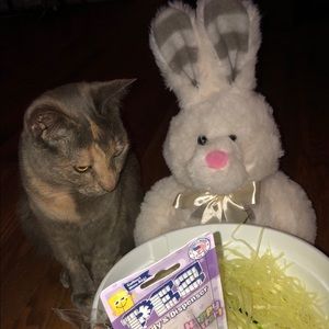 Meet your Posher, Crystalin